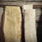Karelian Birch Wood