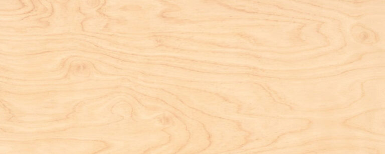 A close-up image of a piece of finely crafted maple wood, showcasing its pale and consistent grain. The wood's natural beauty is evident, and its versatility for furniture and instrument making is highlighted. The intricate details of the grain pattern reflect the enduring strength and aesthetic appeal of maple wood.