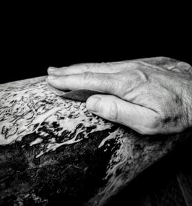 Piece of Masur birch Burl wood