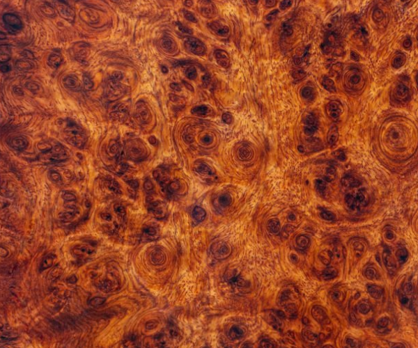 Close-up photograph showcasing the intricate patterns and swirling grains of redwood burl. The unique wood, harvested from burl growths on redwood trees, features irregular knots and distinct grain formations, creating a one-of-a-kind visual display. Highly prized for fine woodworking and artistic projects, redwood burl's organic elegance is evident in its irregular shapes and natural designs. The photo captures the mesmerizing beauty of this rare and exquisite marvel, providing a glimpse into the artistic potential it holds for crafting bespoke furniture or ornamental pieces.