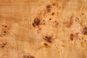 A close-up photograph of poplar burl wood, showcasing its intricate swirling grain and unique formations. The wood, harvested from the burls on Populus trees, is prized for its ornamental qualities and is commonly used in fine woodworking. The irregular figuring creates one-of-a-kind designs, making it a luxurious choice for furniture, decorative items, and musical instruments. Despite being a softer hardwood, the dense and tight grain of poplar burl contributes to its durability. The color palette ranges from warm browns to golden hues, adding a distinctive and sought-after aesthetic to crafted items.